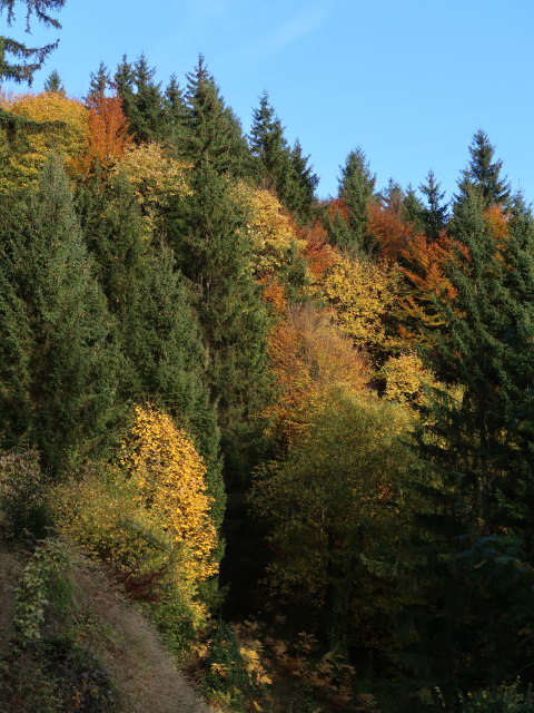 zwischen Halsmoaralmh&uuml;tte und Hainbach