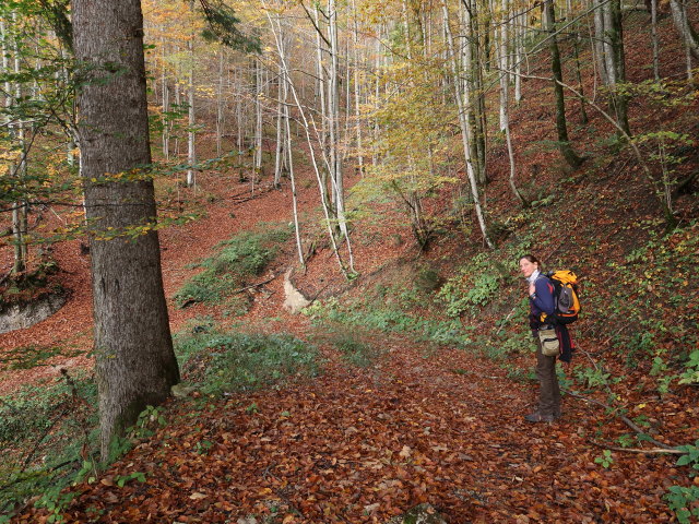 Bernadette zwischen Halsmoaralmhütte und Hainbach