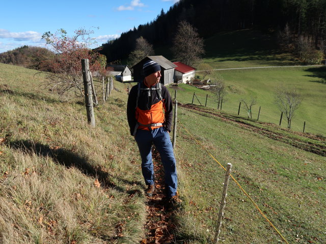 Frank in Schönleiten, 758 m