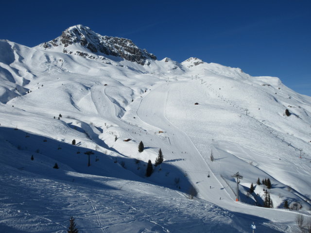 Mohnenm&auml;hder (14. J&auml;n.)