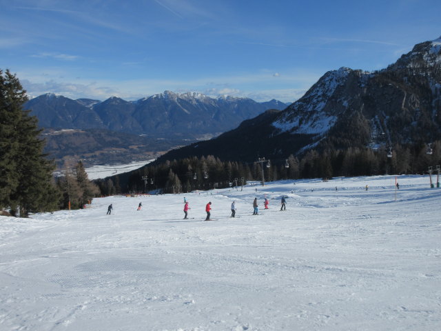 Tressdorfer-Alm-&Uuml;bungswiese