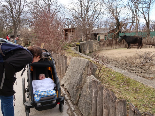 Sabine und Nils bei den Hauswasserb&uuml;ffeln