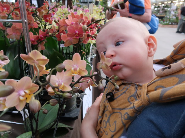 Nils in den Blumeng&auml;rten Hirschstetten