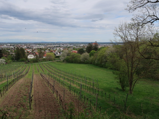 zwischen M&ouml;dling und Rehgraben