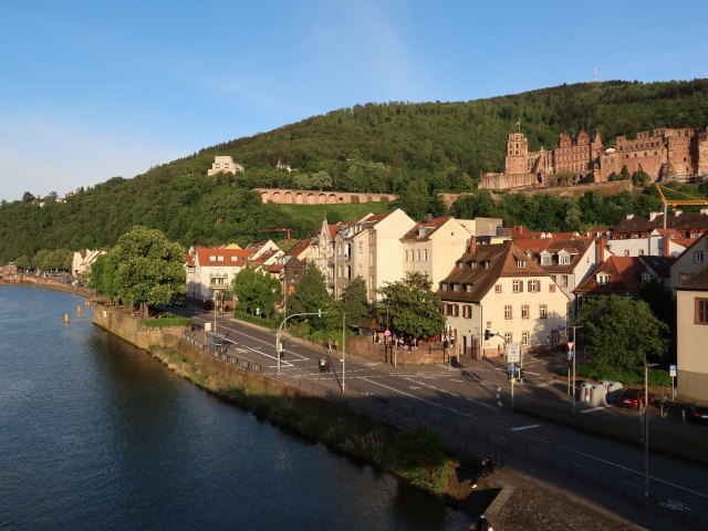 Neckarstaden von der Karl-Theodor-Br&uuml;cke aus