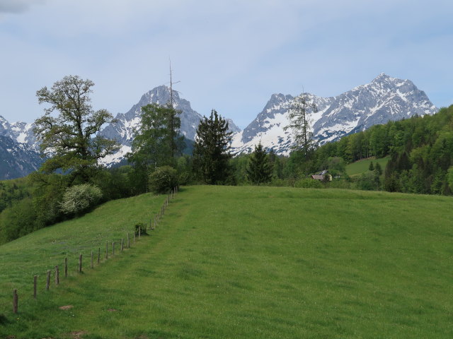 zwischen Lugis und Gr&uuml;nebner