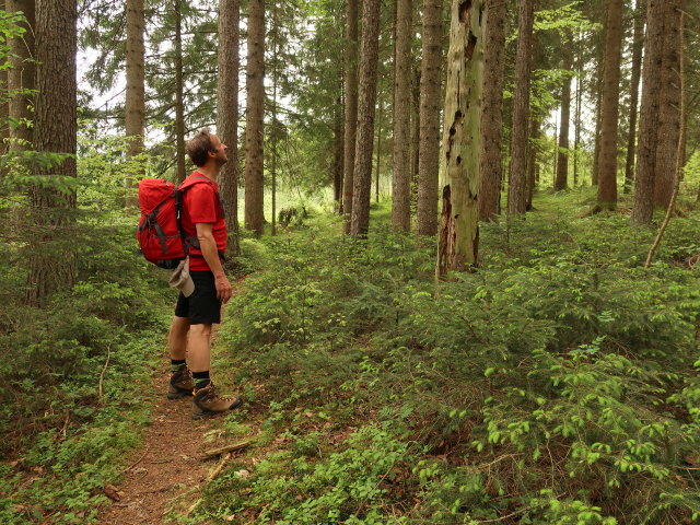 J&ouml;rg zwischen Lugis und Gr&uuml;nebner