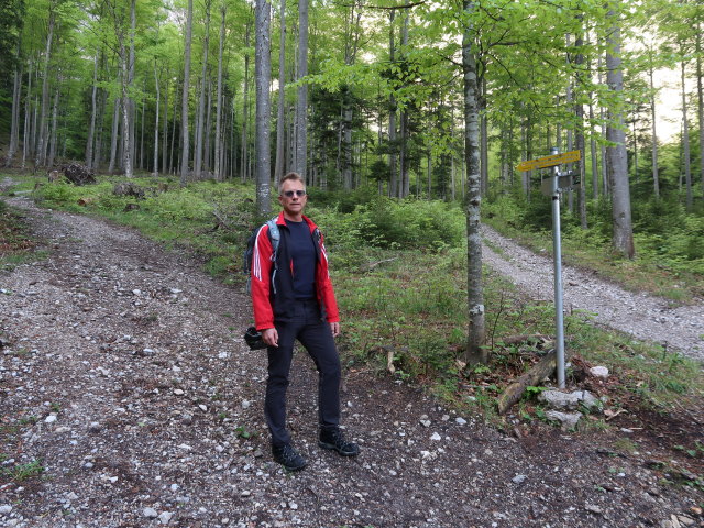 Mario im Gro&szlig;en H&ouml;llental