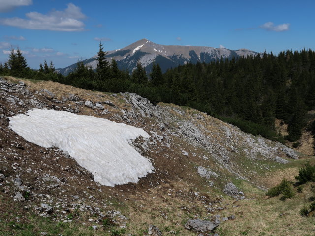 zwischen Praterstern und H&ouml;llental-Aussicht