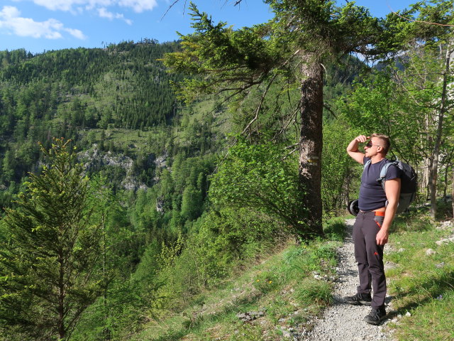 Mario im Gro&szlig;en H&ouml;llental