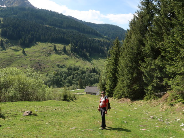 Ronald zwischen Breiteggalm und Sch&ouml;nangeralm