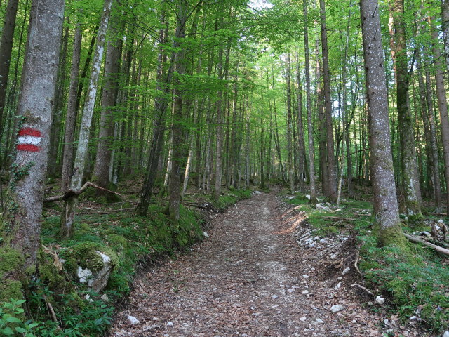 zwischen Sch&ouml;ffaubach und Feichterst&uuml;berl