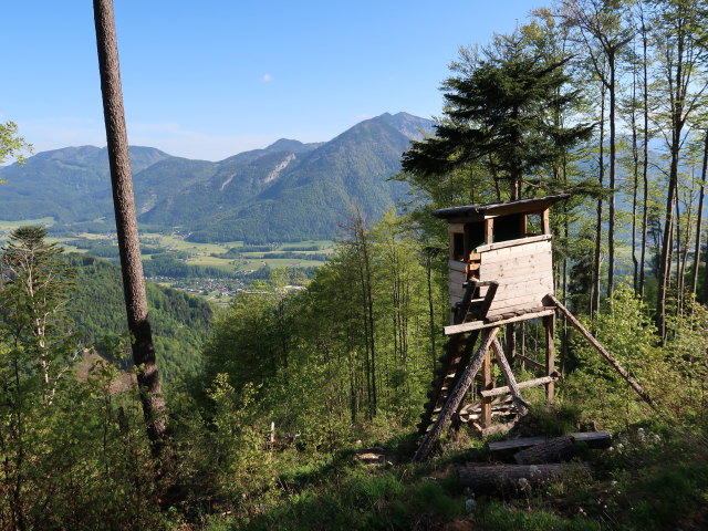 zwischen Sch&ouml;ffaubach und Feichterst&uuml;berl