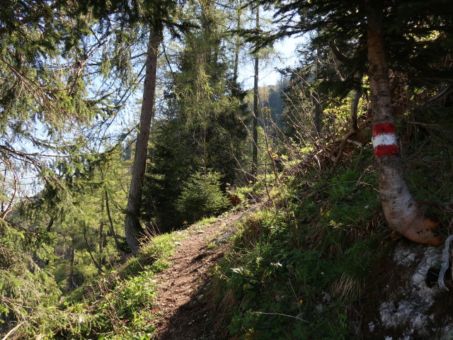 zwischen Feichterst&uuml;berl und Ahornfeld