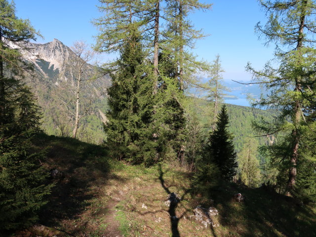 zwischen Feichterst&uuml;berl und Ahornfeld