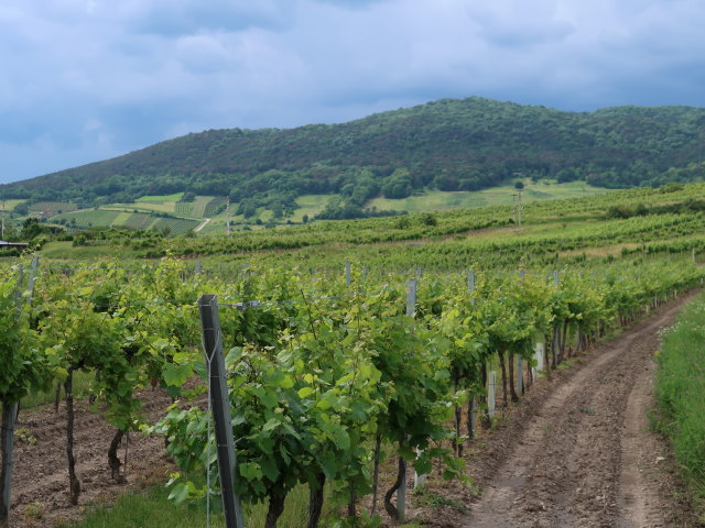 zwischen Pfaffst&auml;tten und B&uuml;hel