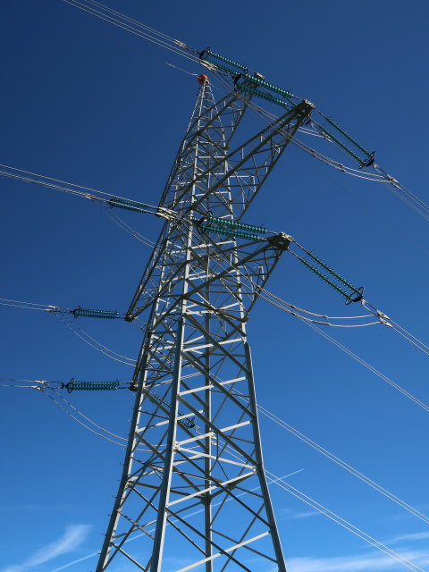 zwischen B&uuml;rgerhalt und Frauenkogel (15. Juni)