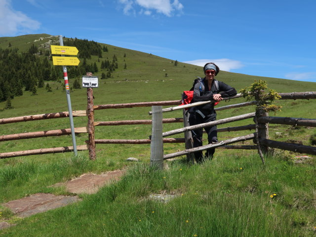 Carmen zwischen Grillitschh&uuml;tte und Weinebene (15. Juni)