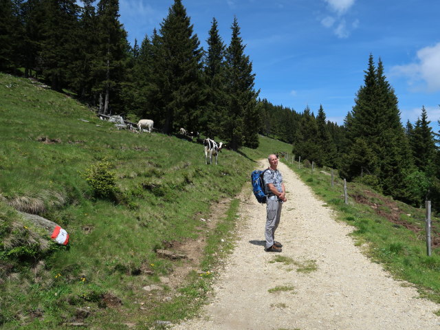 Frank zwischen Grillitschh&uuml;tte und Weinebene (15. Juni)