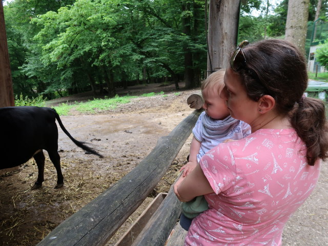 Nils und Sabine bei den Dahom&eacute;-Zwergrindern