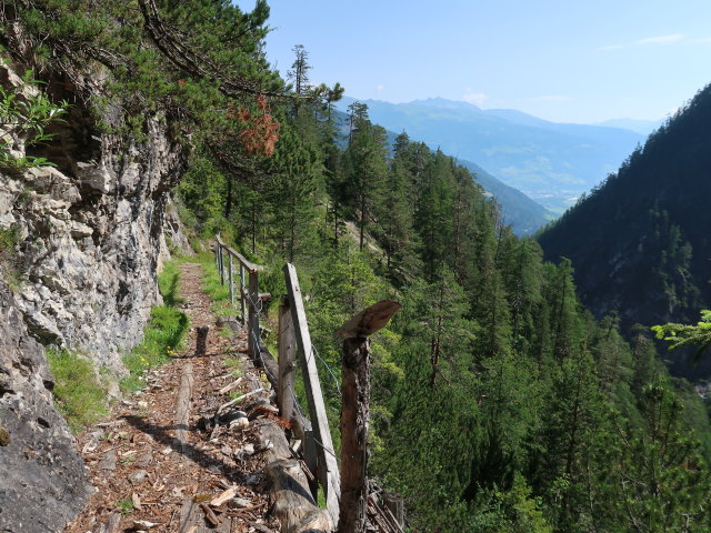 K&uuml;hbodental zwischen Daprakreuz und Kofelbach (29. Juni)