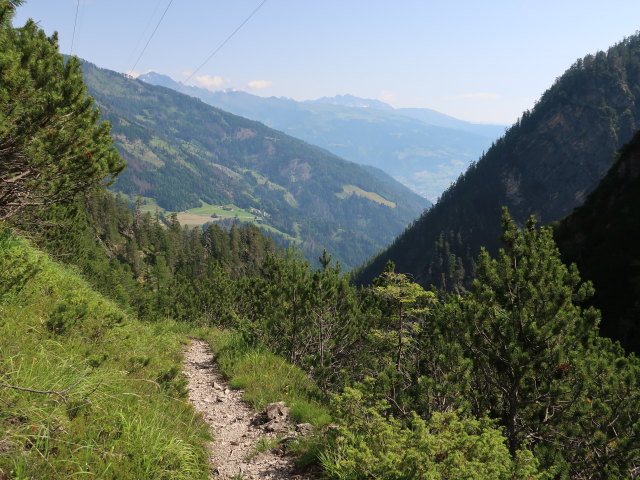 K&uuml;hbodental zwischen Daprakreuz und Kofelbach (29. Juni)