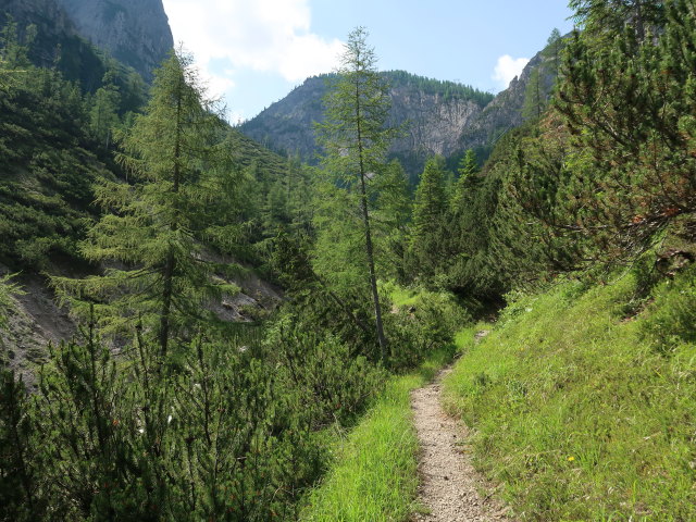 K&uuml;hbodental zwischen Daprakreuz und Kofelbach (29. Juni)