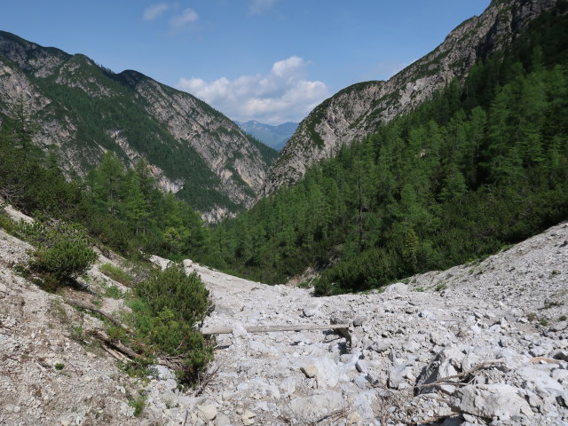 K&uuml;hbodental zwischen Kofelbach und Albrechth&uuml;tte (29. Juni)
