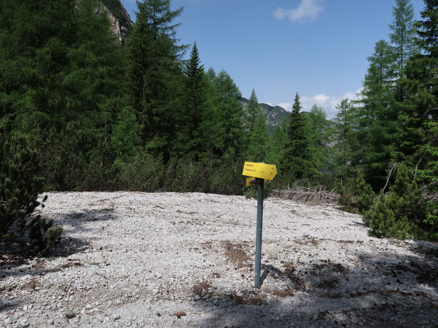 K&uuml;hbodental bei der Albrechth&uuml;tte (29. Juni)