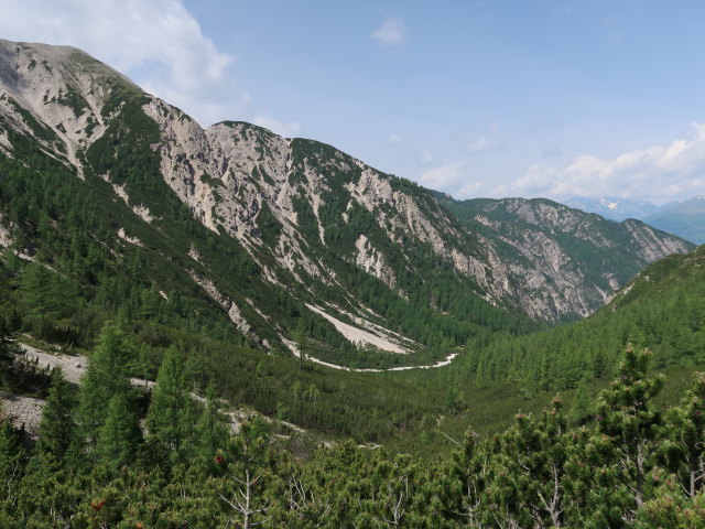 K&uuml;hbodental zwischen Albrechth&uuml;tte und K&uuml;hbodent&ouml;rl (29. Juni)