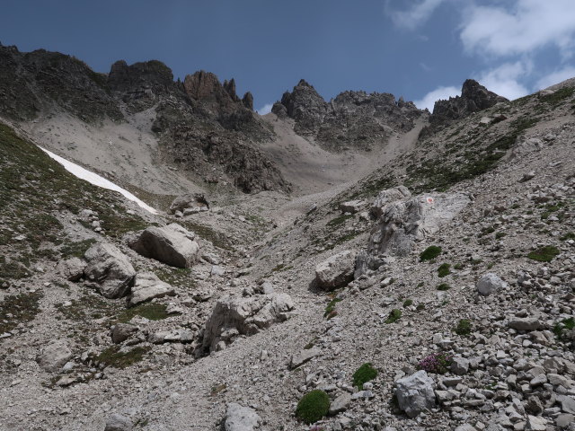 K&uuml;hbodental zwischen Albrechth&uuml;tte und K&uuml;hbodent&ouml;rl (29. Juni)