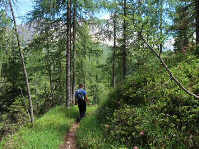 Andreas zwischen Monte Pop&eacute;na Basso und Lago di Misurina