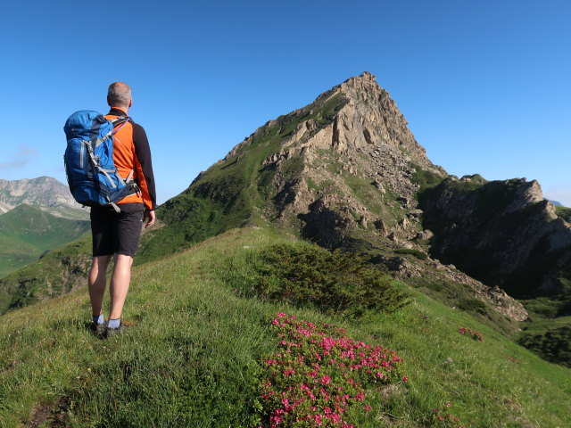 Frank zwischen K&auml;mpenk&ouml;pfln und Schareck (14. Juli)