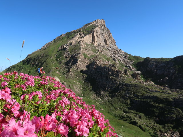 Frank zwischen K&auml;mpenk&ouml;pfln und Schareck (14. Juli)