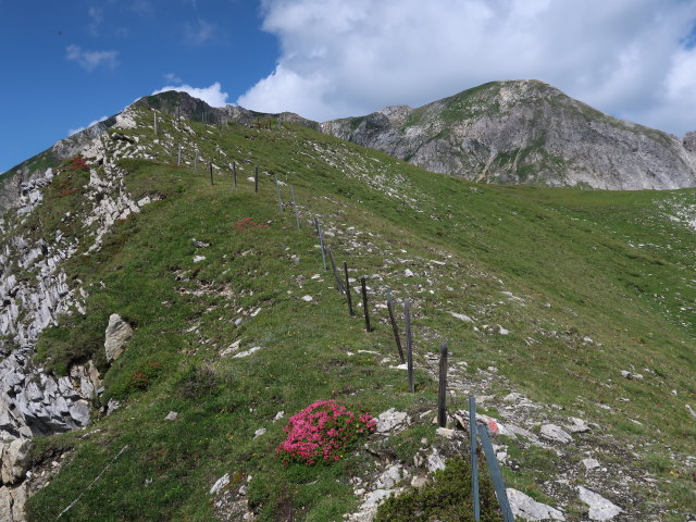zwischen Viertleck und Wei&szlig;eneck (14. Juli)