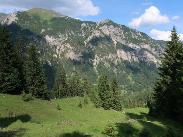 zwischen Unterer Neuwirtsh&uuml;tte und Taurach (14. Juli)