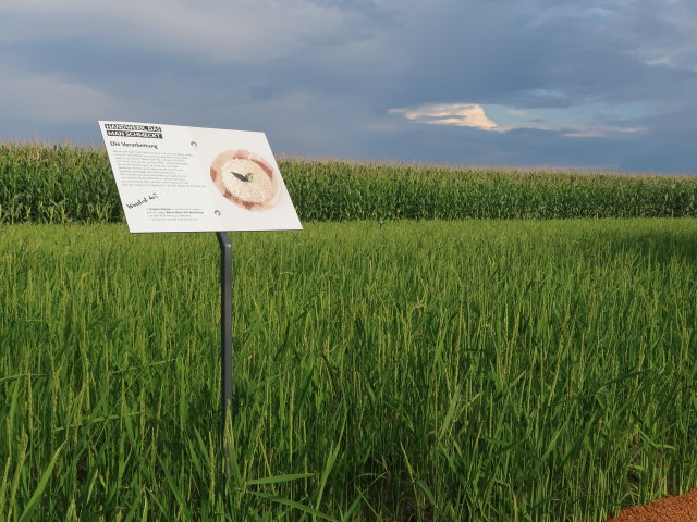 &Ouml;sterReis-Hof in Gerasdorf