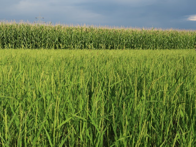 &Ouml;sterReis-Hof in Gerasdorf