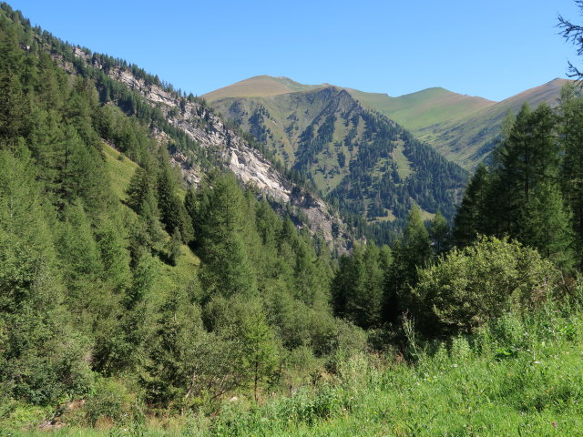 zwischen Gfrereralm und Unterem Rotg&uuml;ldensee (10. Aug.)