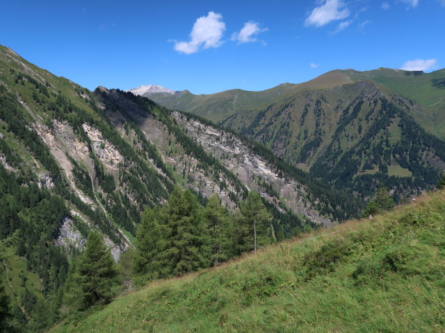 zwischen Unterem Rotg&uuml;ldensee und Gfererkar (10. Aug.)
