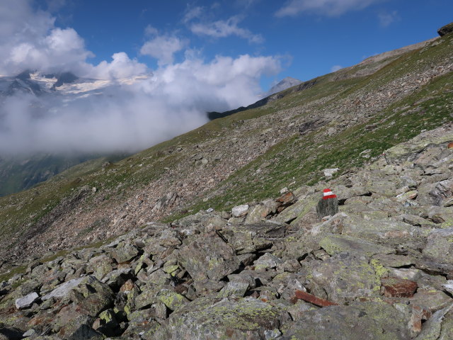 Venediger H&ouml;henweg zwischen First und Sandeben (24. Aug.)