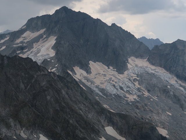 Gro&szlig;er L&ouml;ffler von der Gr&uuml;ne-Wand-Spitze aus (31. Aug.)