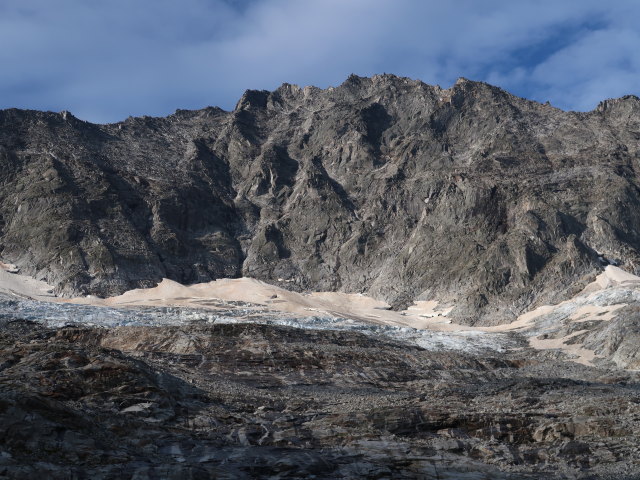 L&ouml;fflerkees (1. Sep.)