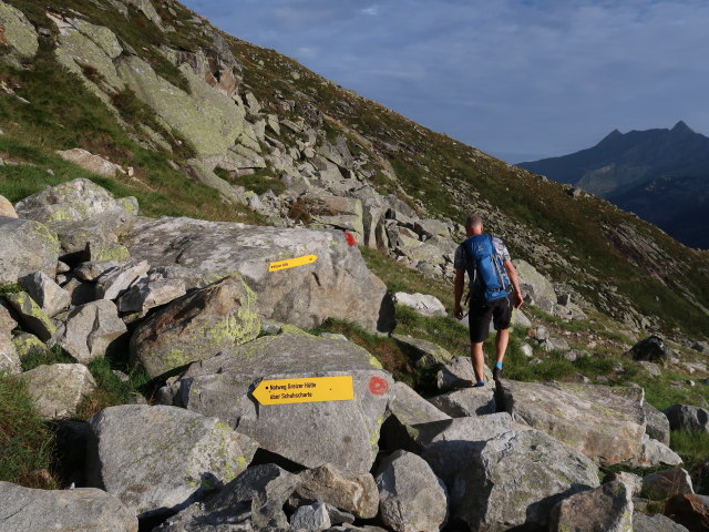 Frank im L&ouml;fflerkar (1. Sep.)