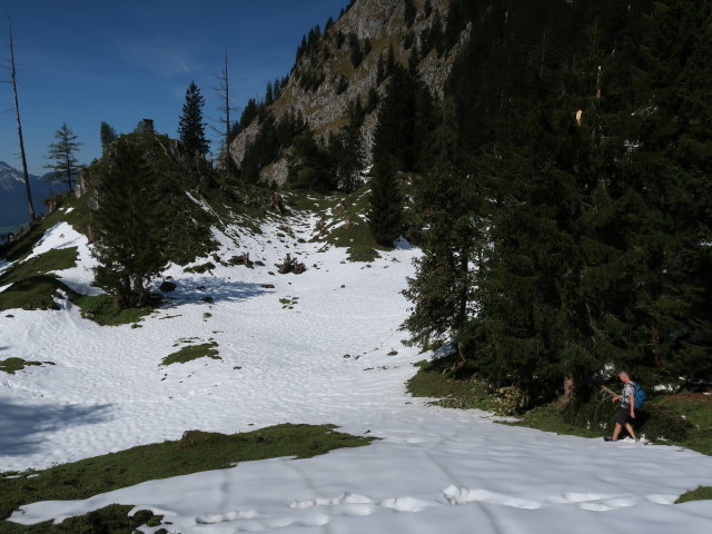 Frank zwischen Wallingalm und Schwarzem Berg