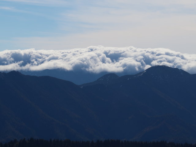 vom Noten Richtung S&uuml;den