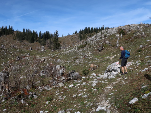 Frank zwischen Noten und Ybbstaler H&uuml;tte