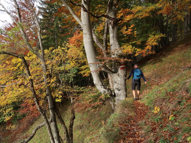 Frank zwischen Ybbstaler H&uuml;tte und H&ouml;llgraben