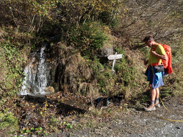 Georg zwischen Astenalm und Pr&auml;aualm