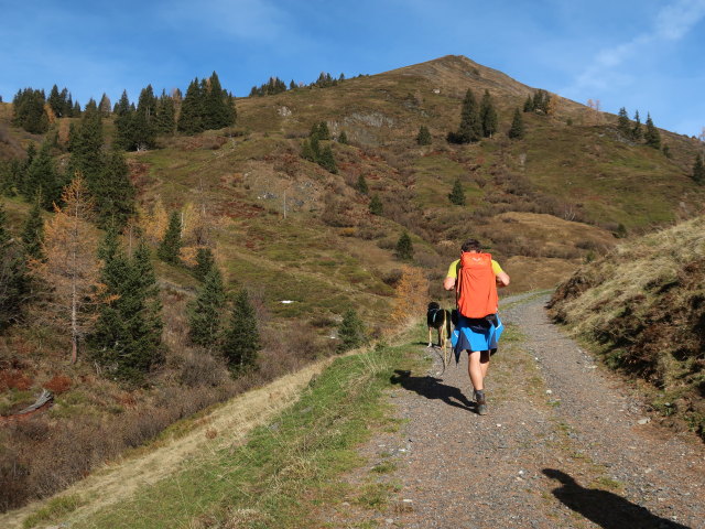 Georg zwischen Astenalm und Pr&auml;aualm